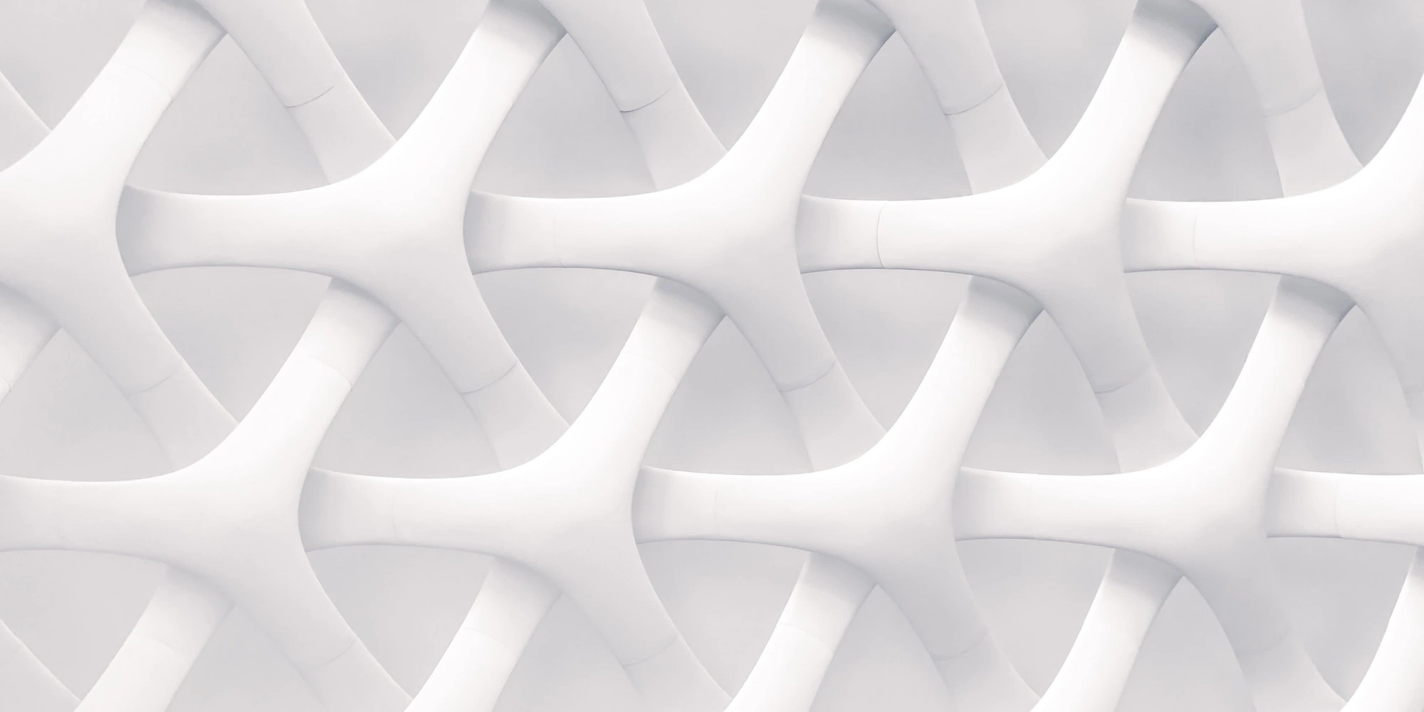 Best Practices for Designing Accessible PDF Forms
